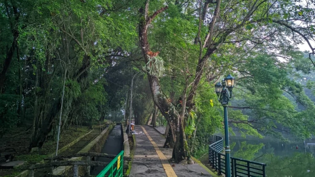 Kota Pelajar Tanpa Paru-Paru: RTH Jogja Tak Sampai 20%